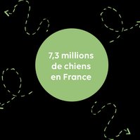 Propreté canine - Animo-Concept, N°1 Français pour la propreté canine