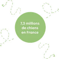 Propreté canine - Animo-Concept, N°1 Français pour la propreté canine