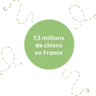 Propreté canine - Animo-Concept, N°1 Français pour la propreté canine
