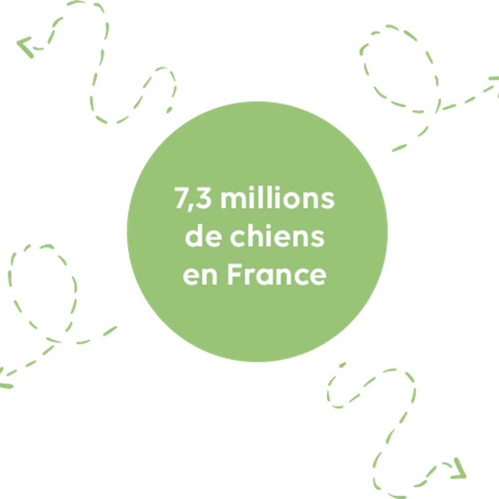 Propreté canine - Animo-Concept, N°1 Français pour la propreté canine
